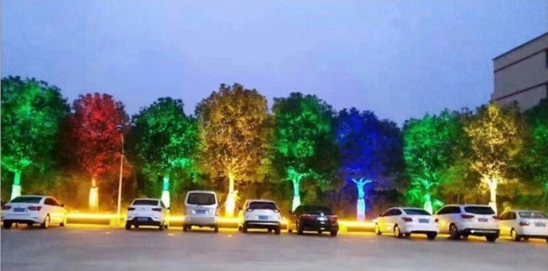 garden uplights for trees