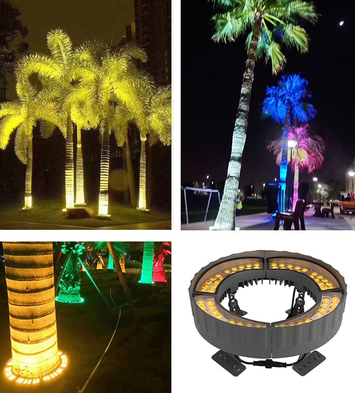 Illuminate Your Outdoors with Exquisite Palm Tree Uplighting